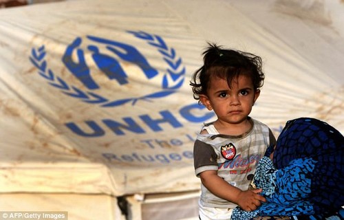 Donors to give 500 million USD for UNHCR activities - ảnh 1