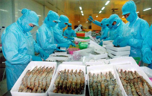 Anti-dumping duties on Vietnamese frozen shrimp reduced - ảnh 1