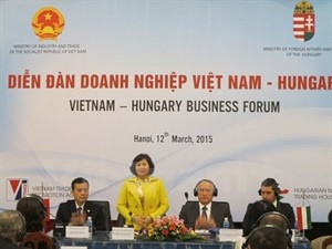 Vietnam, Hungary strengthen business ties - ảnh 1