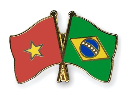Vietnam-Brazil relationship deepened  - ảnh 1