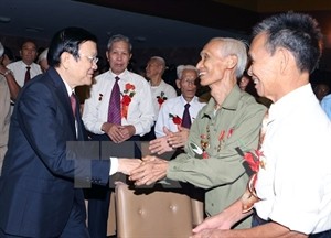 Youth volunteer force celebrates 65th founding anniversary  - ảnh 1