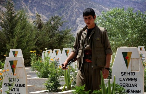 Some 260 PKK members killed in Turkey air strikes - ảnh 1