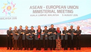 ASEAN, partners vow to boost cooperation for regional development - ảnh 1