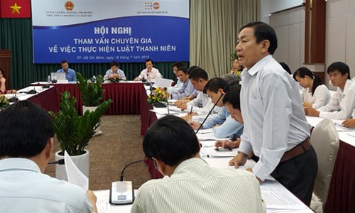 Consultations held on the implementation of Youth Law  - ảnh 1