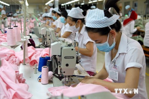 Promoting trade union activities in garment, textile sector - ảnh 1