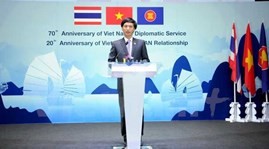 Activities to mark anniversaries of Vietnam’s diplomacy, ASEAN membership  - ảnh 1