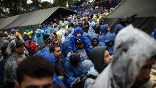 Croatia opens its border with Serbia for migrants  - ảnh 1