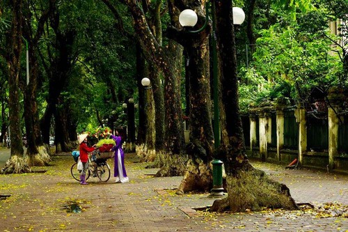 Hanoi's beauty in the season of falling leaves - ảnh 9