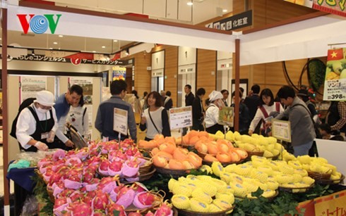 Vietnamese mango promoted in Japan - ảnh 2