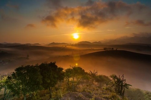 Magnificent beauty of Moc Chau in the dawn mist  - ảnh 2