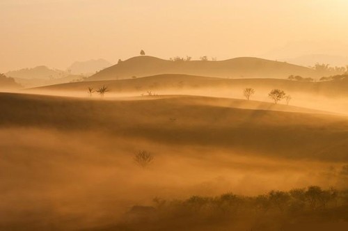 Magnificent beauty of Moc Chau in the dawn mist  - ảnh 3