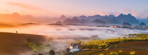 Magnificent beauty of Moc Chau in the dawn mist  - ảnh 6