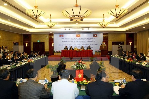Vietnam, Cambodia, Laos cooperate in combating drugs - ảnh 1
