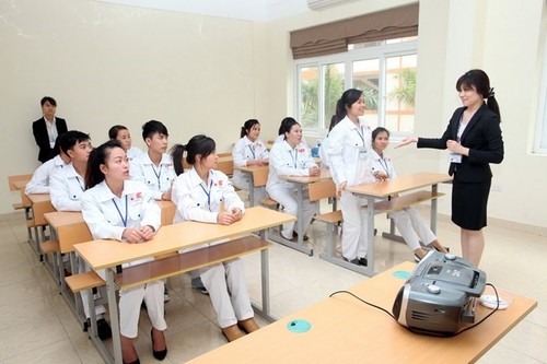 Japan steps up health, labour cooperation with Vietnam - ảnh 1