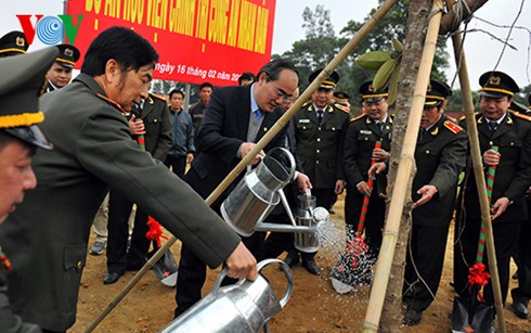 Tree-planting activities launched across Vietnam - ảnh 1