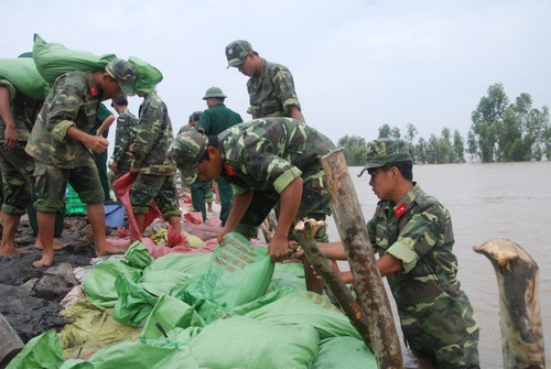 Vietnam participates in ASEAN’s training course on natural disaster rescue - ảnh 1
