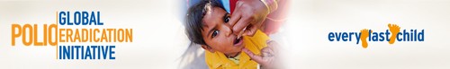 Eradicating polio worldwide by 2018 is feasible - ảnh 1