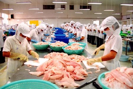 US’s right decision to remove catfish inspection program on Vietnam  - ảnh 1