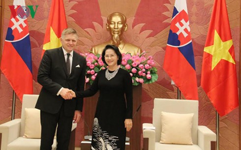 Vietnamese leaders receive Slovakian Prime Minister  - ảnh 2