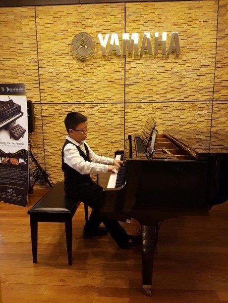 Amateur pianist takes first prize - ảnh 1