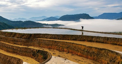 Hoang Su Phi terraced fields in rainy season - ảnh 6
