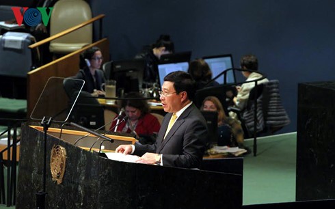 Vietnam supports multilateral solution to peace, cooperation, development - ảnh 1