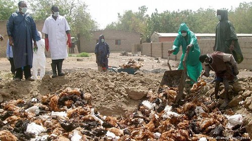 Countries to fight avian influenza - ảnh 1