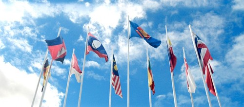 The 32nd ASEAN Japan forum opens in Brunei  - ảnh 1