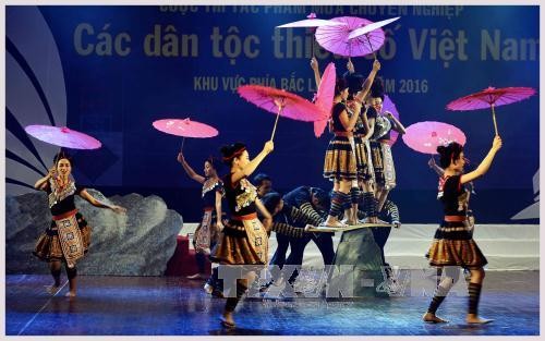 National choreography competition 2017 opens - ảnh 1