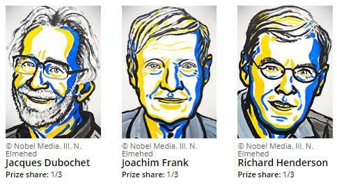 The Nobel prize in Chemistry triggers a revolution in biochemistry - ảnh 1
