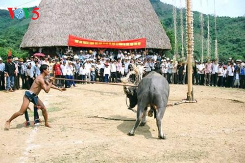 The Ma’s buffalo sacrifice ritual dedicated to Jade Emperor - ảnh 1