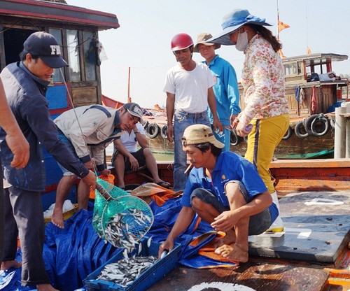 Da Nang works to increase traceability of seafood products - ảnh 2