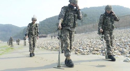 Two Koreas begin to remove landmines in demilitarized zone - ảnh 1