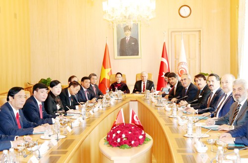 Vietnam’s top legislator holds talks, meets Turkish leaders - ảnh 1