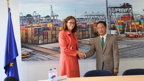 EU, Vietnam reiterates commitment to trade, investment deals - ảnh 1