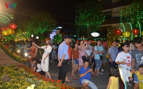 Can Tho’s Floral Lantern Street welcomes Tet - ảnh 1