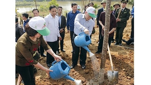 Yen Bai responds to New Year tree planting festival  - ảnh 1