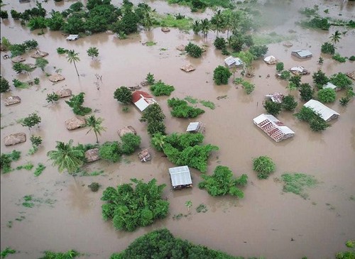 Vietnamese Embassy in Mozambique confirms no Vietnamese casualties caused by Cyclone Idai - ảnh 1