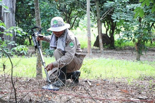 Vietnam makes progress in landmine clearance  - ảnh 1