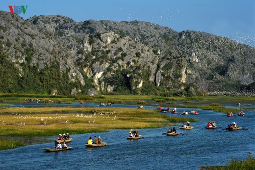 Van Long Wetland Nature Reserve recognized as Vietnam's ninth Ramsar site - ảnh 1
