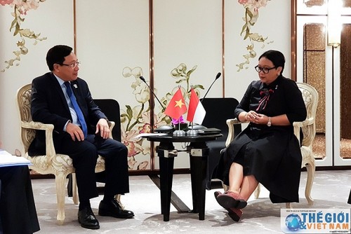 Vietnam and Indonesia continue negotiations to demarcate overlapping exclusive economic zones - ảnh 1