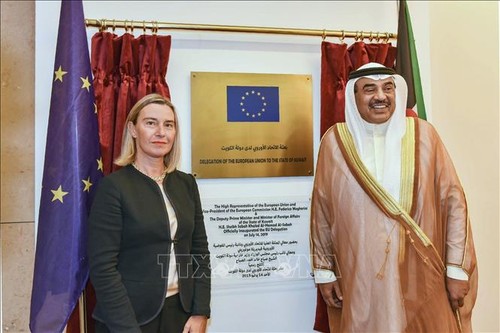 EU expands involvement in Middle East - ảnh 1