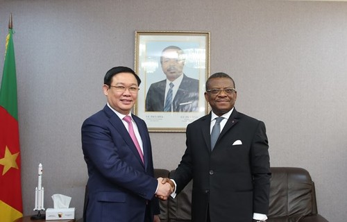 Vietnam wants to boost multi-faceted partnership with Cameroon - ảnh 1
