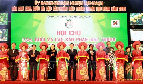 2019 fair of orange, pomelo and signature products opens in Bac Giang province - ảnh 1