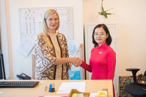 Sweden to work closely with Vietnam on complex issues: Swedish Ambassador - ảnh 5