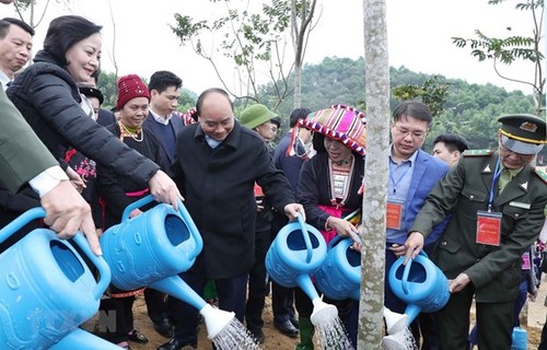 Tree planting festival launched nationwide - ảnh 1