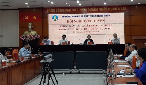 Agricultural sector urged to ensure production for domestic consumption, export amid Covid-19 outbre - ảnh 1