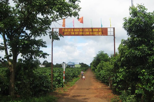 Plei Bui, model new-style rural village in Gia Lai province - ảnh 1