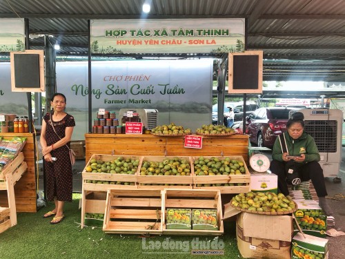 Localities promote summer agricultural products - ảnh 1
