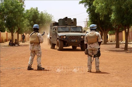 UN peacekeeping force in Mali repeatedly attacked - ảnh 1